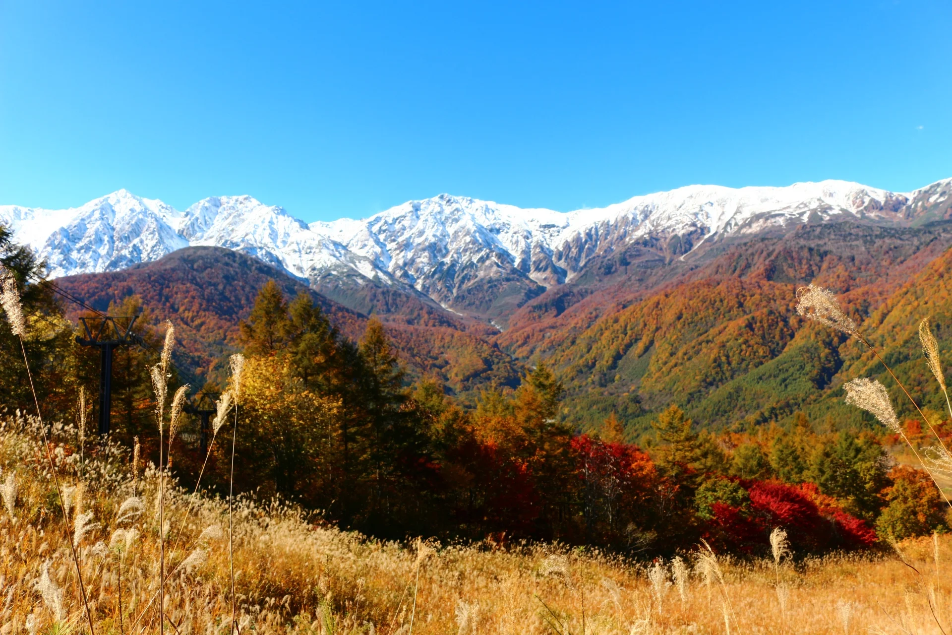 Hakuba Mountain Harbor Sandan Koyo panorama view