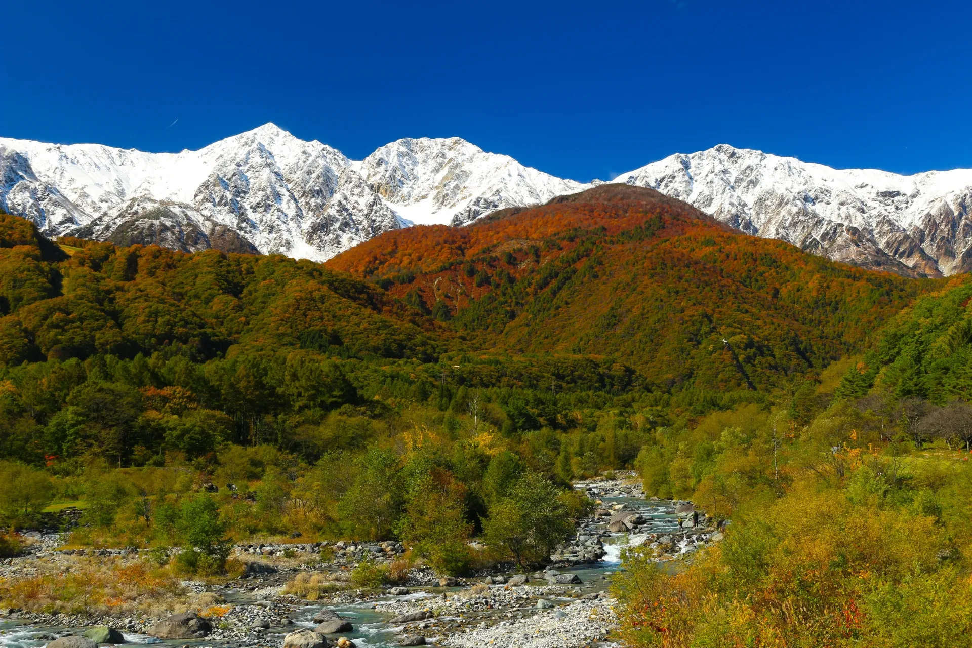 Hakuba Autumn Foliage 2026 Sandan Koyo