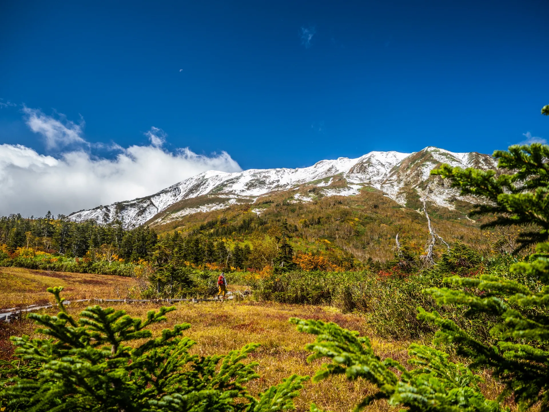 Tsugaike Nature Garden golden marshland autumn foliage
