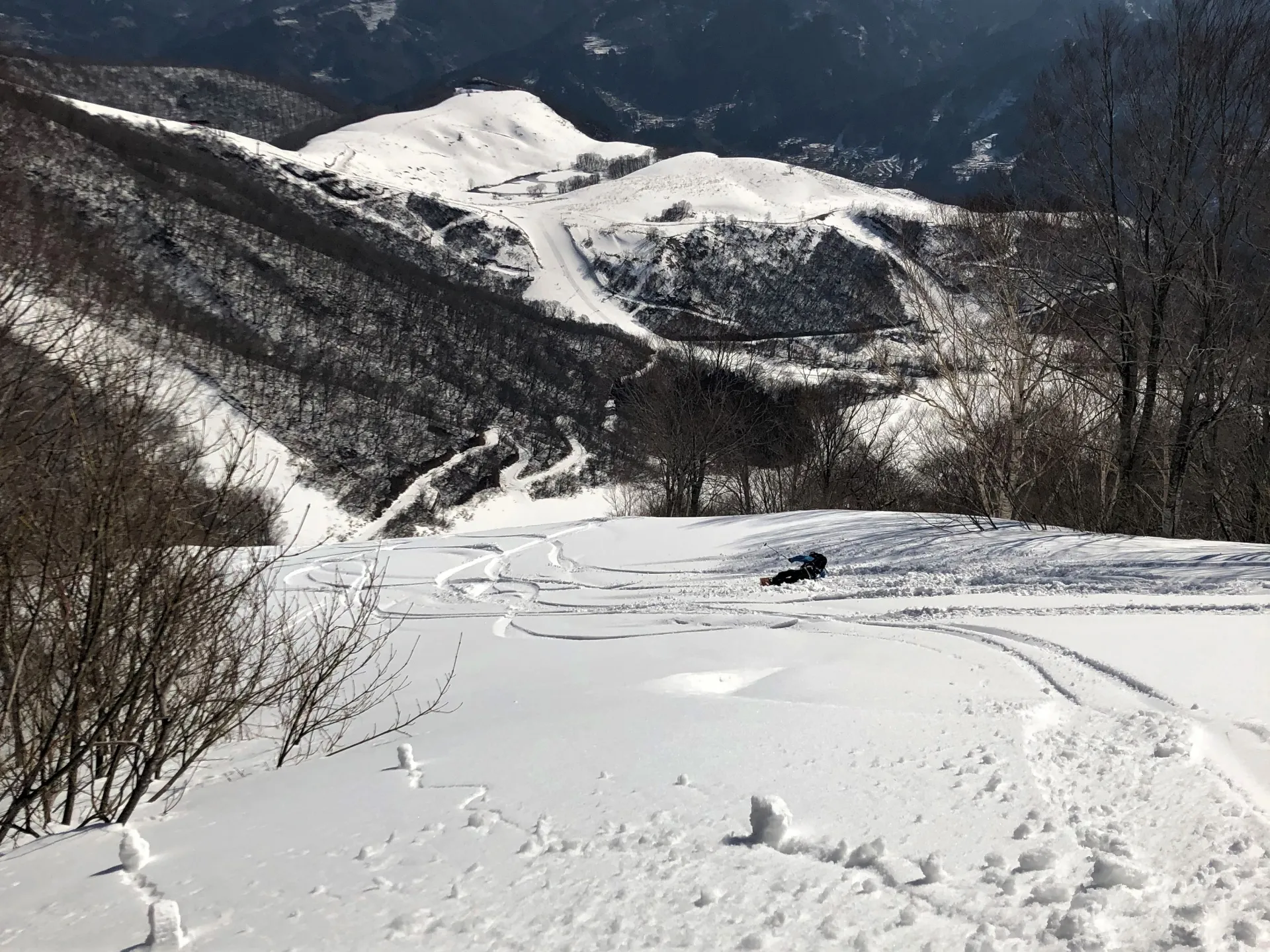 Tree run at Cortina — deep powder snow